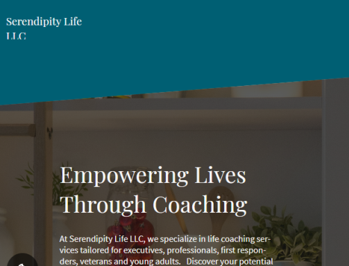 Serendipity Life Wellness LLC Serendipity Life Wellness LLC